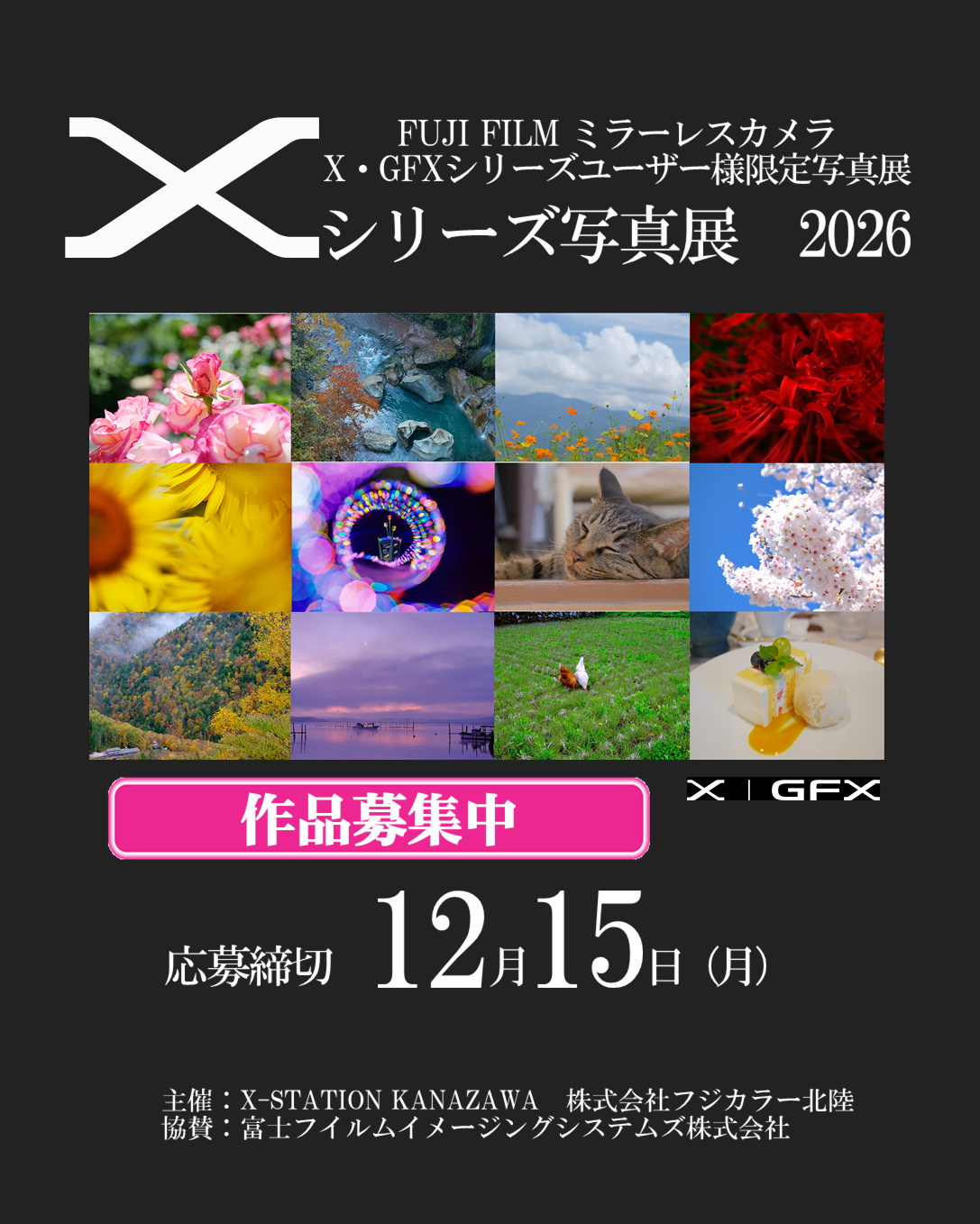 専用　公式写真セット ICEx 「PHOTO SET vol.1、vol.2」 スタダ便通信販売が決定！ | ICEx